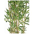 Europalms Bamboo in Bowl, 150cm, Sztuczna roślina 2/3