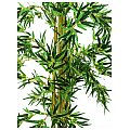 Europalms Bamboo multi trunk, 210cm, Sztuczna roślina 2/2