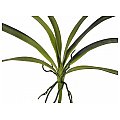 Europalms Liść orchidei (EVA) zielony 45cm, Sztuczna roślina 2/2