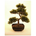 Sosna bonsai, sztuczne drzewko, 50cm Europalms 2/2