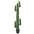 EUROPALMS Kaktus meksykański, sztuczna roślina, zielony, 173 cm 2/4