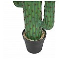 EUROPALMS Kaktus meksykański, sztuczna roślina, zielony, 173 cm 4/4