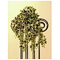 Europalms Ivy tendril, green-white, 50cm, Sztuczna roślina 2/3
