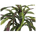 Europalms Croton, 40cm, Sztuczna roślina 2/2