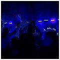 ADJ American DJ UV LED BAR 20 LED BAR UV 4/5