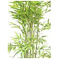 Europalms Bamboo, 180cm, Sztuczna roślina 2/2