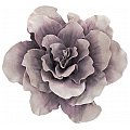 EUROPALMS Giant Flower (EVA), sztuczny kwiat, róża, 80 cm 2/3