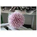 EUROPALMS Succulent Ball (EVA), Kula katusowa, sztuczna roślina pink, 20cm 2/5