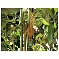 Europalms Fishtail, 305cm, Sztuczna roślina 3/4