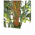 Europalms Fishtail, 305cm, Sztuczna roślina 4/4