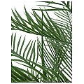 Europalms Sztuczna palma Kentia 150cm 2/2