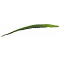 Europalms Aloe leaf (EVA), green, 60cm, Sztuczna roślina 2/3