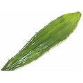 Europalms Aloe leaf (EVA), green, 60cm, Sztuczna roślina 3/3