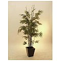 Europalms Bamboo black trunk, 152cm, Sztuczna roślina 2/2