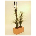 Europalms Reed grass cattails, dark-brown, 152cm , Sztuczna trawa 2/3