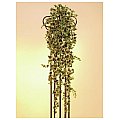 Europalms Ivy tendril, green-white, 100cm , Sztuczna roślina 2/3