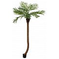 EUROPALMS Phoenix palm tree luxor curved, artificial plant, 240cm Sztuczna palma 2/5