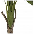 EUROPALMS Drzewo bananowe, sztuczna roślina, 145 cm 2/2