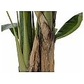 EUROPALMS Drzewo bananowe, sztuczna roślina, 120 cm 2/3