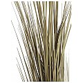 Europalms Reed grass, khaki, 127cm, Sztuczna trawa 2/2