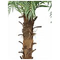 Europalms Coconut king palm, 160cm Sztuczna palma 2/2