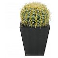 Europalms Barrel Cactus 27cm, Sztuczny kaktus 2/3