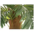 EUROPALMS Phoenix Deluxe, sztuczna roślina palmowa, 300 cm 3/4