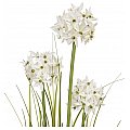 EUROPALMS Allium trawa, sztuczna roślina, biała, 120 cm 2/5