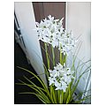EUROPALMS Allium trawa, sztuczna roślina, biała, 120 cm 4/5