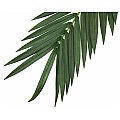 Gałązka palmy kokosowej, sztuczna, ok. 210 cm EUROPALMS 3/3