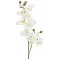 Europalms Orchidspray, cream-white, 100cm , Sztuczny kwiat 2/2