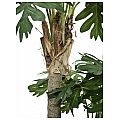 Europalms Fan palm Set, 200cm Sztuczna palma 2/2