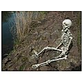 EUROPALMS Wiszący szkielet - postać na Halloween 150 cm 4/5