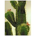Europalms Mexican cactus, 170cm, Sztuczny kaktus 3/4