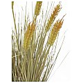 Europalms Wheat ready to harvest 60cm , Sztuczna trawa 2/3