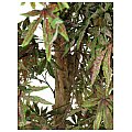 Europalms Ash-leaved maple, green, 220cm, Sztuczne drzewo 3/4