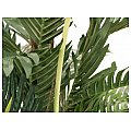 EUROPALMS Kentia palma, sztuczna roślina, 150 cm 4/4