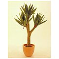 Europalms Yucca palmbush, 105cm Sztuczna palma 2/2