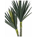 Europalms Yucca, 2-trunks, 115cm Sztuczna palma 4/4