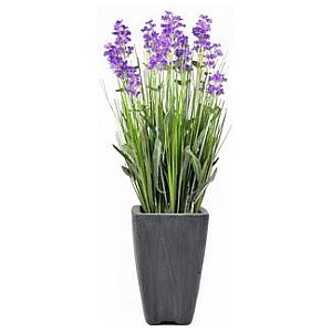 Europalms Lavender, purple, in pot, 45cm, Sztuczna roślina 1/2