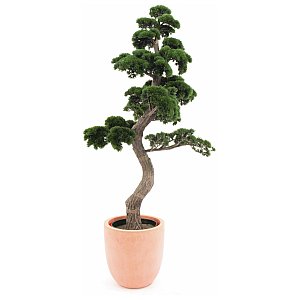 Sztuczne bonsai Europalms, Pine Bonsai 168 cm 1/3