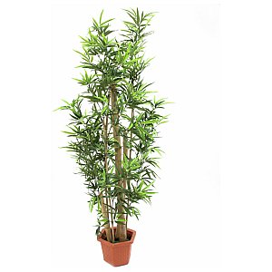 Europalms Bamboo natural trunks, 205cm , Sztuczna roślina 1/2