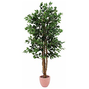 Europalms Ficus tree, 180cm  Sztuczne drzewo 1/3