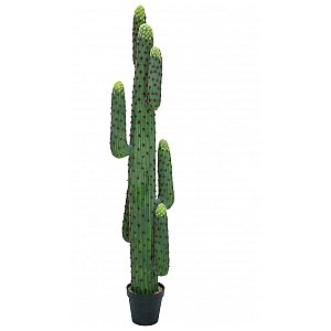 EUROPALMS Kaktus meksykański, sztuczna roślina, zielony, 173 cm 1/4