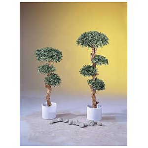 Europalms Bonsai wood tree, 180cm, Sztuczne bonsai 1/2