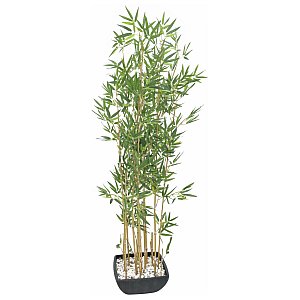 Europalms Bamboo in Bowl, 150cm , Sztuczna roślina 1/3