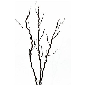 Europalms Corkscrew branch, with LEDs, white, 120cm, Sztuczna roślina LED 1/6