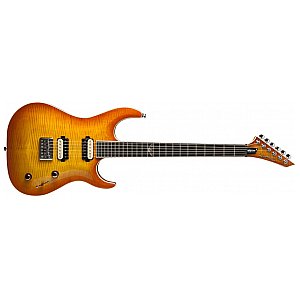 Washburn PXS 200 (FHB), gitara elektryczna 1/2