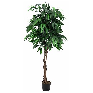 Europalms Jungle tree Mango, 210cm, Sztuczna roślina 1/2