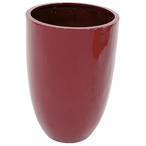 Europalms LEICHTSIN CUP-69, shiny-red, Doniczka 1/2